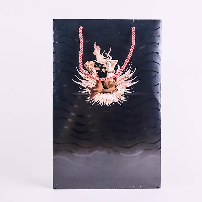 ফ্যাশন শপিং ব্যাগ