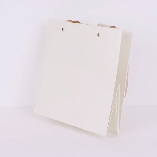 বিলাসবহুল উপহার ব্যাগ